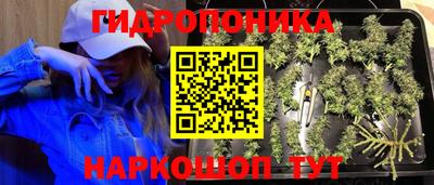трава Ипатово