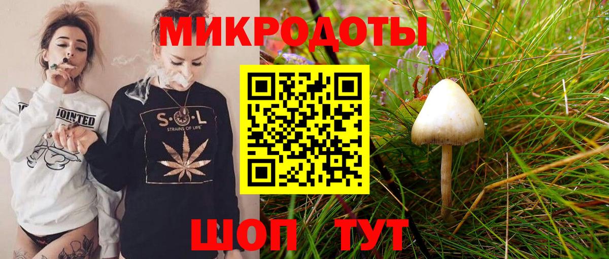купить наркоту  Вход с VPN  Псилоцибиновые грибы Psilocybe  Курчалой  Галлюциногенные грибы прущие грибы 