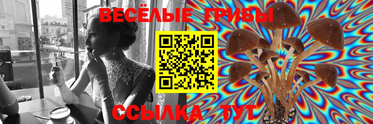 Псилоцибиновые грибы ЛСД Курчалой